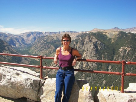 Cindy Brandon Photo 10