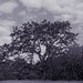 Garry Groves Photo 9