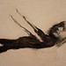 Marianne Haas Photo 5