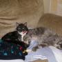Patricia Todd Photo 39