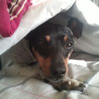 Tina Treadway Photo 5