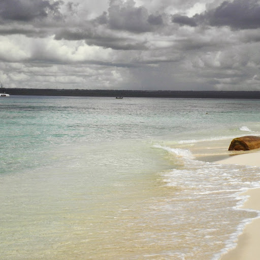 Brenda Nieves Photo 21
