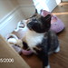 Mable Hope Photo 7