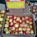 Barbara Apple Photo 15