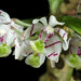 Debra Atwood Photo 11