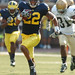 Darryl Maxwell Photo 15