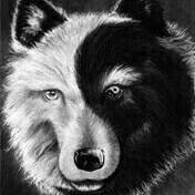 Elizabeth Stover Photo 14