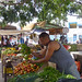 Cesar Nieves Photo 10