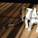 Virginia Mumford Photo 3