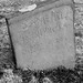 Samuel Montgomery Photo 27