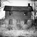 Ross Herrmann Photo 6