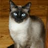 Penny Payne Photo 9