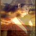 Barbara Neil Photo 31