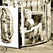 Luis Guadalupe Photo 25