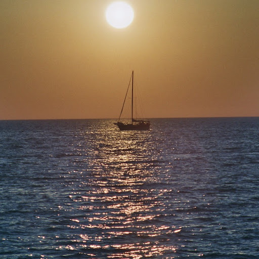 Bob Forrest Photo 34