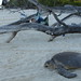 Dawn Musgrave Photo 14