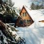 Judy Link Photo 22
