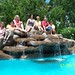 Debra Libby Photo 25