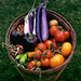 Martha Latham Photo 15