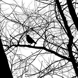 Andy Liu Photo 25