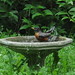 Robin Monson Photo 2