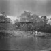 Samuel Meek Photo 10