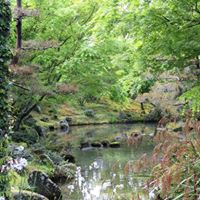 Rosanne Robinson Photo 15