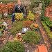 Marlene Newton Photo 14