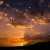Patricia Gorden Photo 9