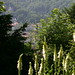 Patrick Bernhard Photo 11