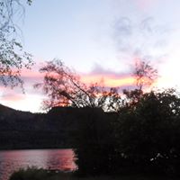 Annette Welsh Photo 7