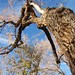 Tammy Neumann Photo 22