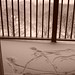 Simon Perkins Photo 21