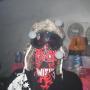 Michael Monroe Photo 20