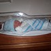 James Pattison Photo 15