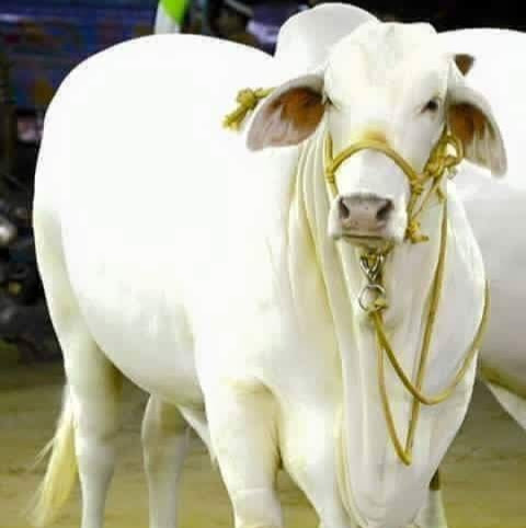 Sivakumar Palanisamy Photo 9