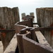 Daniel Agee Photo 14