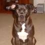 Keith Dailey Photo 43