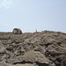 Lynn Iles Photo 10