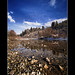 Gail Long Photo 15