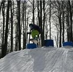 Matthew Farrell Photo 48