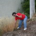 Carol Weed Photo 6