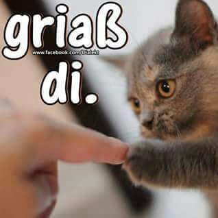 Sabine Schwab Photo 7