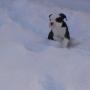 Samantha Wagoner Photo 17