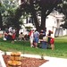 Susan Glynn Photo 27