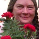 Ann Cline Photo 41