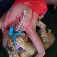Jill Hibbard Photo 8