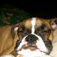 Amy Tompkins Photo 22