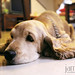 Jamie Crocker Photo 14