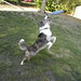 Merle Pierce Photo 6